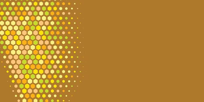 Geometric abstract Hexagon Two Color Background vector