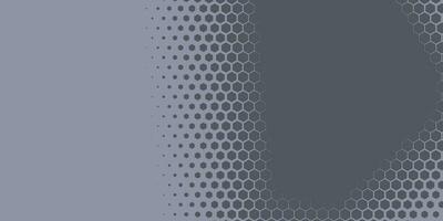 Geometric abstract Hexagon Two Color Background vector