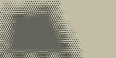 Geometric abstract Hexagon Two Color Background vector