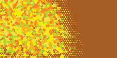 Geometric abstract Hexagon Two Color Background vector