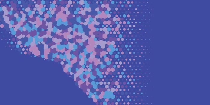 Geometric abstract Hexagon Two Color Background vector