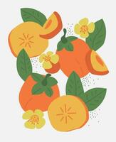 Abstract textured slice of persimmon. Art with fruit and leaf in modern retro style. Banner with branch tree. vector