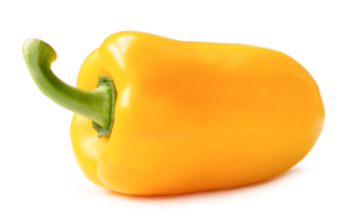 Fresh beautiful yellow bell or sweet pepper isolated with clipping path and shadow in png file format. Sweet paprika chili