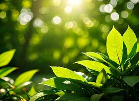 Close up of nature view green leaf on blurred greenery background under sunlight with bokeh. AI Generated photo