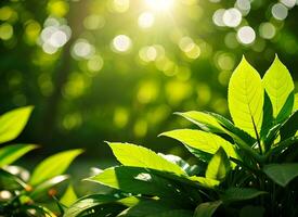 cerca arriba de naturaleza ver verde hoja en borroso verdor antecedentes debajo luz de sol con Bokeh. ai generado foto