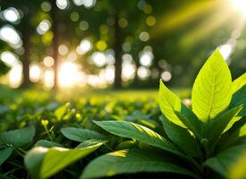 cerca arriba de naturaleza ver verde hoja en borroso verdor antecedentes debajo luz de sol con Bokeh. ai generado foto