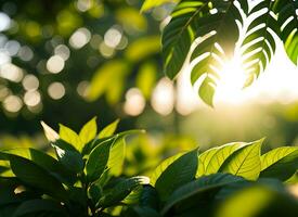 cerca arriba de naturaleza ver verde hoja en borroso verdor antecedentes debajo luz de sol con Bokeh. ai generado foto