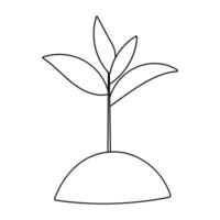 sprout plant young green earth eco line vector