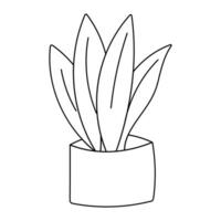 plant pot home green eco bio leaves vector