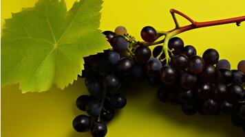 Grapes on the vine generated with AI photo