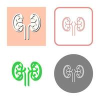 Kidney Vector Icon