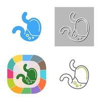 Stomach Vector Icon