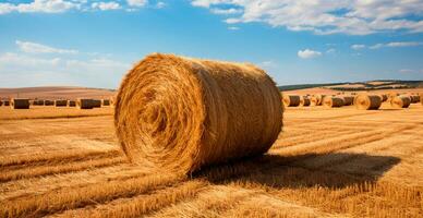 recién cortar heno en rollos acostado en un campo - ai generado imagen foto