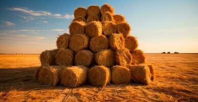 Freshly cut hay in rolls lying in a field - AI generated image photo