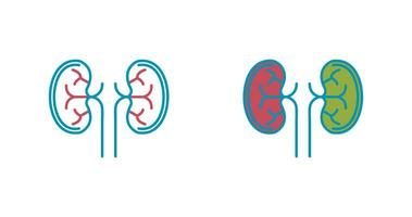 Kidney Vector Icon