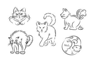 Set of cats in different poses in sketch style. Pets. The cat hisses, sleeps, poops, walks. For stickers, posters, postcards, design elements. vector