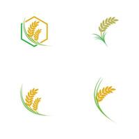 arroz logo y símbolo elemento vector