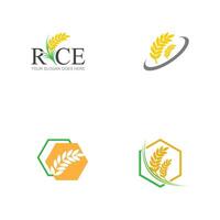 rice logo and symbol element vector