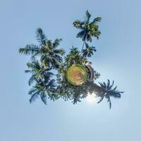 coconut trees in jungle in Indian tropic village on sea shore on little planet in blue sky, transformation of spherical 360 panorama. Spherical abstract view with curvature of space. photo