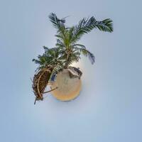 coconut trees in jungle in Indian tropic village on sea shore on little planet in blue sky, transformation of spherical 360 panorama. Spherical abstract view with curvature of space. photo