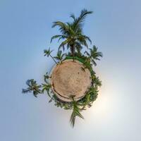 coconut trees in jungle in Indian tropic village on sea shore on little planet in blue sky, transformation of spherical 360 panorama. Spherical abstract view with curvature of space. photo