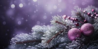 Christmas tree branch with purple baubles and snow on bokeh background. AI Generated. photo