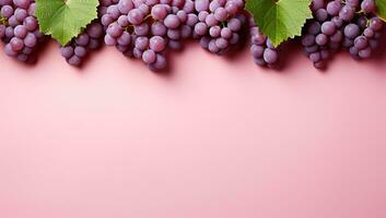 Grapes on a Pink Background. AI Generated. photo