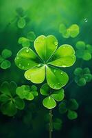 St. Patrick's day background with clover leaves AI generated photo