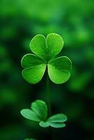 St. Patrick's day background with clover leaves AI generated photo