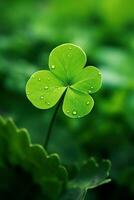 St. Patrick's day background with clover leaves AI generated photo