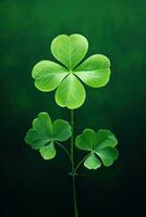 St. Patrick's day background with clover leaves AI generated photo