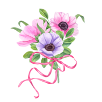 Bouquet of anemones, green leaves tied with pink ribbon. Flowers decorated with acacia leaves, clitoria or tea leaf. Watercolor illustration. For Valentine day, birthday and mother day cards png