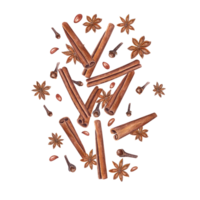 Cinnamons sticks, star anise, dried cloves. Winter aromatic spices for hot drinks and Xmas baking. Botanical watercolor illustration for package design, label, logo png