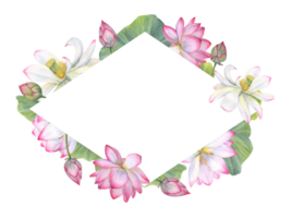 romb ram med indisk helig lotus blomma, knoppar, löv. vietnamese nationell blommor. Plats för text. vattenfärg illustration för hälsningar, inbjudan, vykort design png