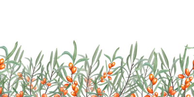 Seamless border of Sea Buckthorn. Sandthorn, sallowthorn. Illustration with bright Orange Berries and Green Leaves suitable for card design, textile, wrapping, scrapbooking png