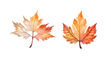 Warm color tree leaf in png. AI Generative png