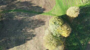 otoño tapiz aéreo puntos de vista de naturaleza y arquitectura video