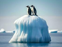 Photo of group of penguins on iceberg minimalism. High-resolution. AI Generative