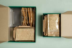 dos cajas kits para creciente coles desde semillas plano poner, parte superior ver en verde antecedentes foto