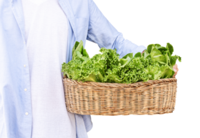 homme tenir des légumes sur rotin panier png