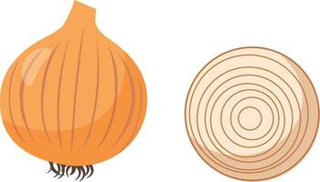 Onion cartoon vector. free space for text. wallpaper. symbol. vector