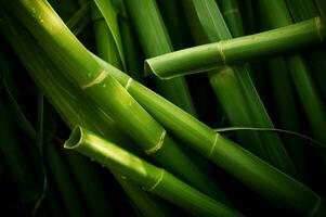 Sugarcane green plant field closeup photo. Generate Ai photo