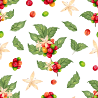 Seamless pattern of coffee branches, berries, flowers. Aroma of Robusta and Arabica varieties. Coffee Day. Watercolor illustration. Suitable for background, coffee packaging. Handmade isolated art. png