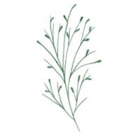 waterverf groen blad clip art png