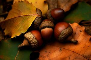 Acorns leaf fall. Generate Ai photo