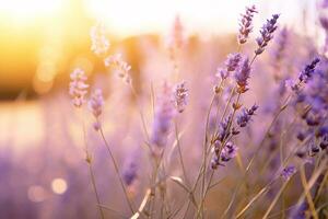 Blurred Summer Background of Wild Grass and Lavender Flowers. AI Generative photo