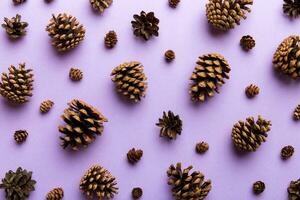 pine cones on colored table. natural holiday background with pinecones grouped together. Flat lay. Winter concept photo