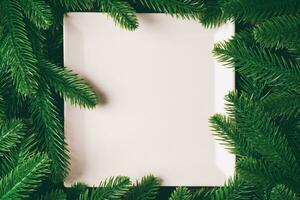 Top view of white plate surrounded with fir tree branches. Christmas dinner concept with copy space photo