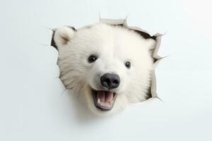 polar bear sticking out of a hole in a white paper background. AI generated photo