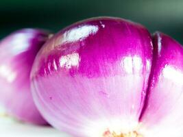 Red onion isolated on a gray background photo